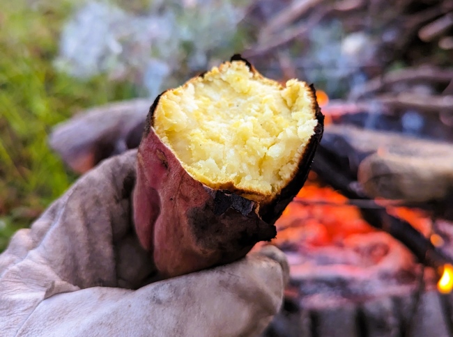 熱々ホクホクに出来上がった焼きいも