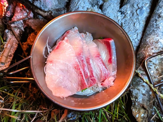 冬の味覚ブリの刺身