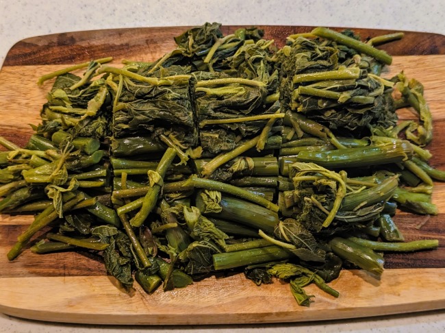 春の旬の食材ウドを切る