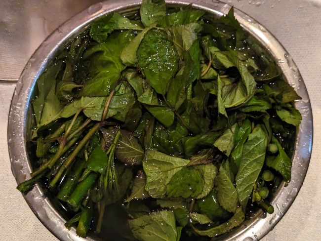 春の旬の食材ウドのアク抜きをする