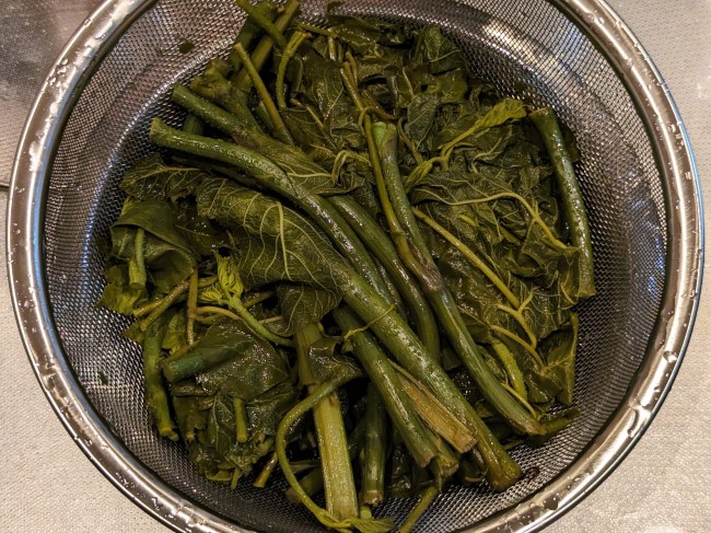 茹で上がったウドを冷やす