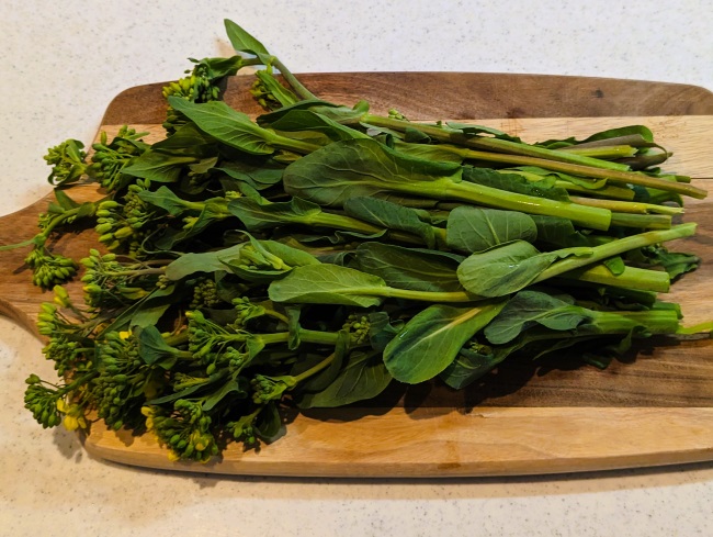 春の旬の食材菜の花