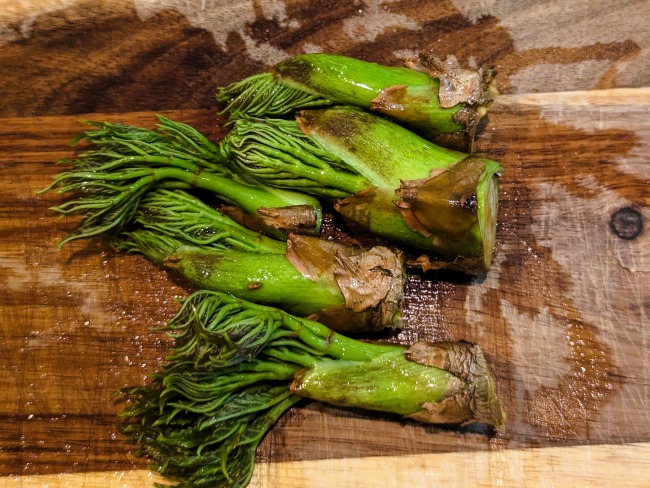 春の味覚タラの芽