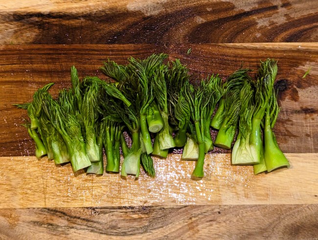 山菜の王様タラの芽