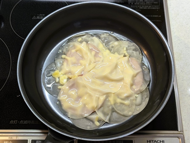 餃子の皮で挟んだブリトー