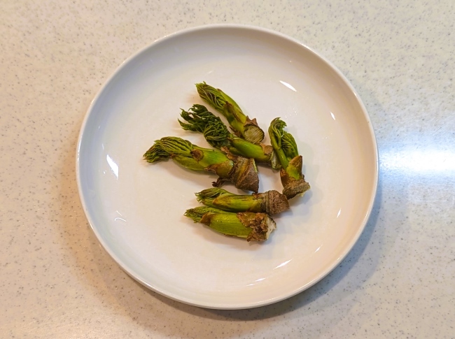 春の味覚タラの芽