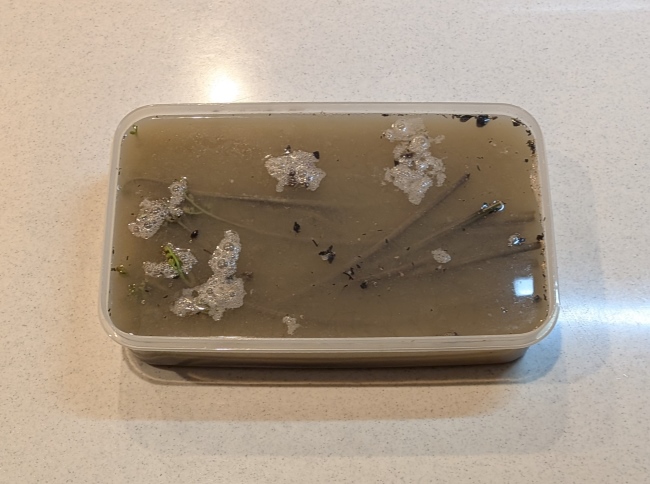 アク抜き