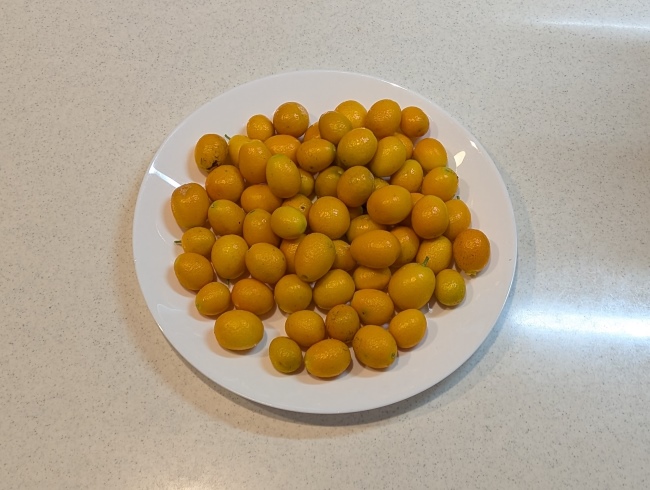金柑