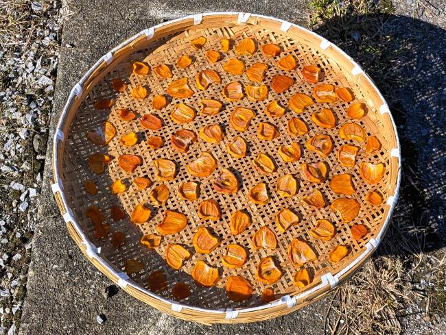 スライスした渋柿を天日干ししている